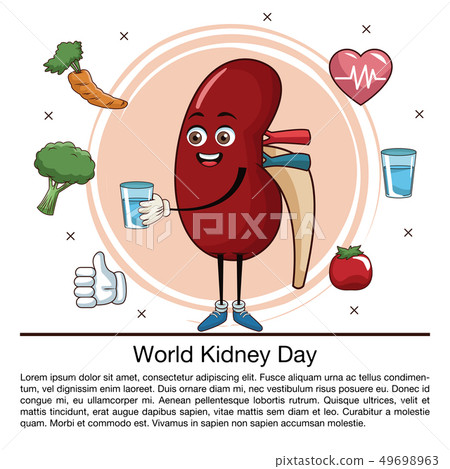 World kidney day infographic cartoon World kidney day infographic cartoon 49698963