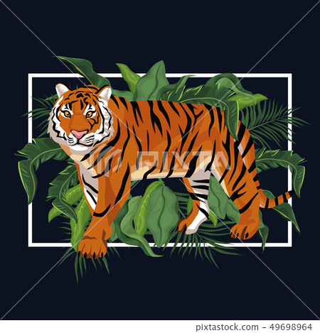 Tiger in the jungle Tiger in the jungle 49698964