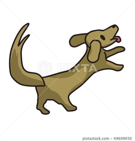 快樂的狗 快樂的狗 49699050