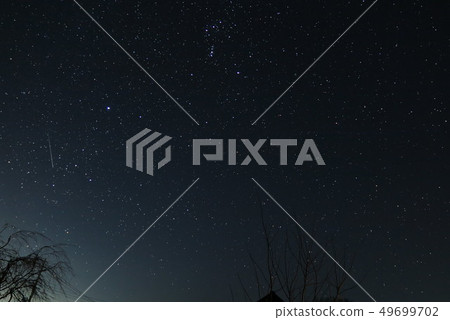 冬天滿天星斗的天空獵戶座 冬天滿天星斗的天空獵戶座 49699702