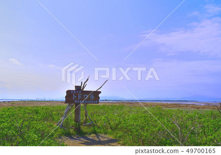 Vast Todowara 49700165