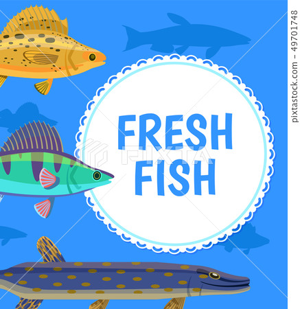 Water Animal, Fresh Fish Blue Postcard Vector 49701748