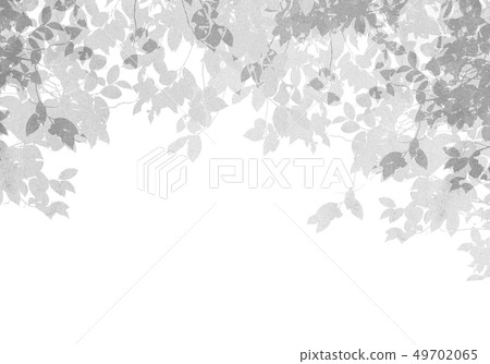 紋理單色 紋理單色 49702065