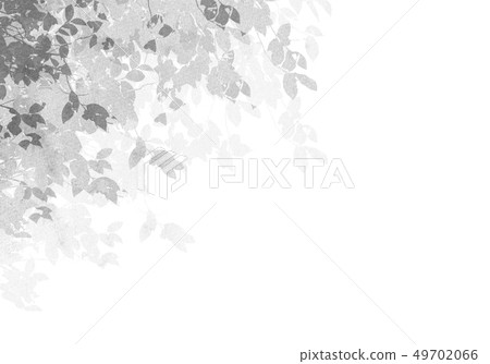 紋理單色 紋理單色 49702066