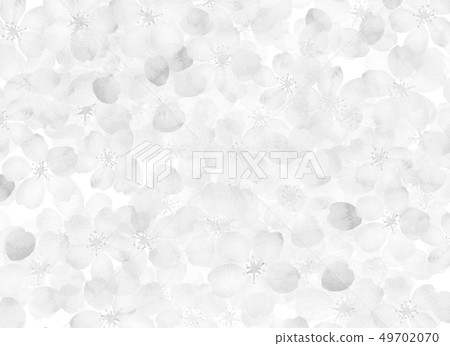 Texture monochrome 49702070