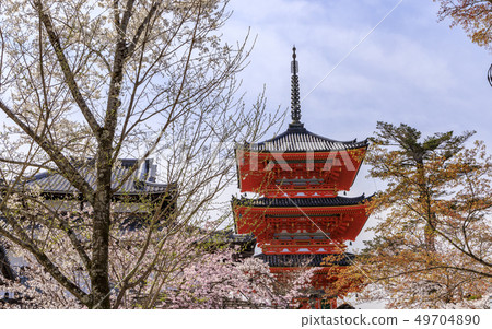 清水寺櫻花盛開 49704890