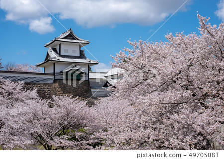 金澤城石川門和櫻花盛開 金澤城石川門和櫻花盛開 49705081