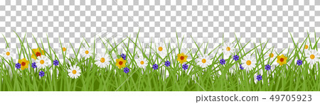 Grass summer background 49705923