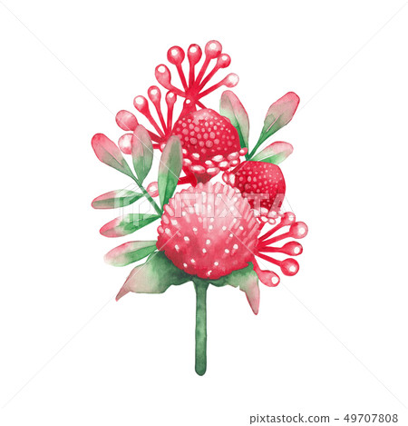 Watercolor collection of red flowers and leaves Watercolor collection of red flowers and leaves 49707808