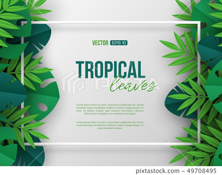Banner with exotic jungle tropical palm leaves. 49708495