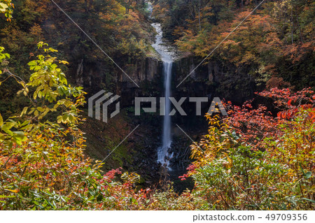 Hachimantai in autumn 49709356