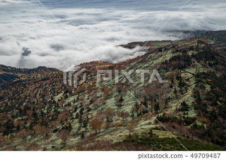 秋天的八幡平 秋天的八幡平 49709487