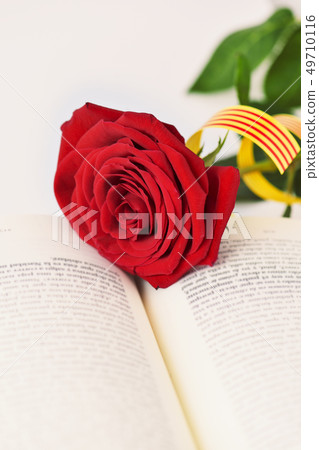 book, red rose and catalan flag 49710116