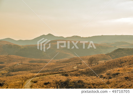 Grasslands Hiraodai of lush greenery that shines in the setting sun [Fukuoka Prefecture] 49710705