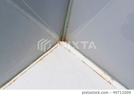 Mould in a white bathroom on the tiles and the sil 49711009