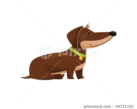 Cartoon dachshund with bone on white background. 49711192