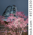 Roppongi Hills and cherry blossoms 49711630