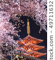 Five story pagoda and cherry blossoms at Asakusadera 49711632