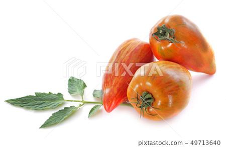 San Marzano tomatoes San Marzano tomatoes 49713640