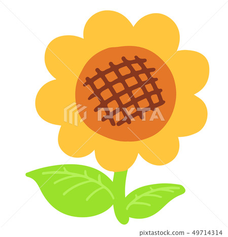 沒有主線的簡單可愛的生動向日葵插圖 沒有主線的簡單可愛的生動向日葵插圖 49714314