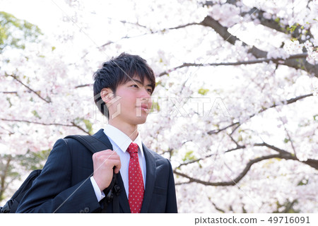 Businessman in cherry blossom background Businessman in cherry blossom background 49716091