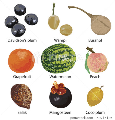 fruit on white background 49716126