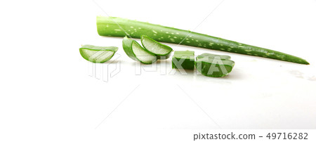 Aloe Vera On White Background 49716282