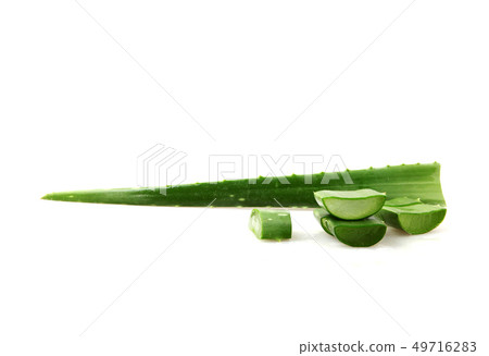 Aloe Vera On White Background Aloe Vera On White Background 49716283