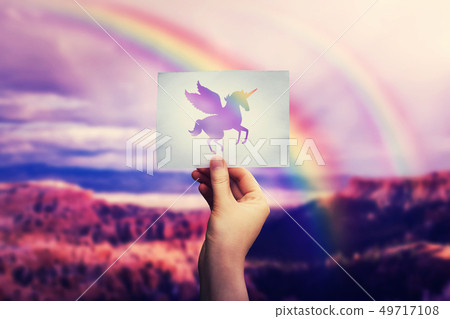 rainbow pegasus rainbow pegasus 49717108