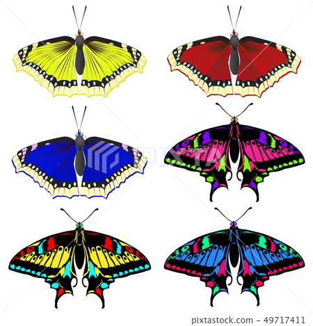 A collection of colorful beautiful butterflies. 49717411