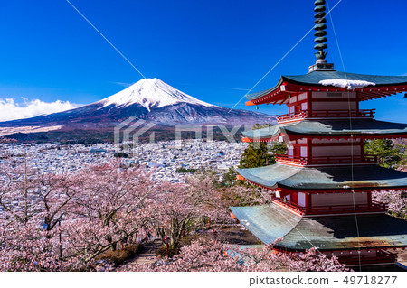 （山梨縣）從日本的美麗，櫻花和雪，Nii Kurayama淺間公園看到的富士山 49718277