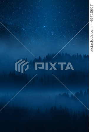 Stars in sky above foggy woodland 49718697