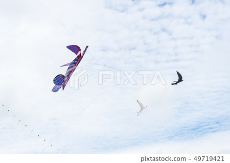 Kites flying in the sky among the clouds.Kite Kites flying in the sky among the clouds.Kite 49719421