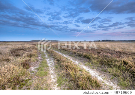 Natural heathland landscape near Hijken Natural heathland landscape near Hijken 49719669
