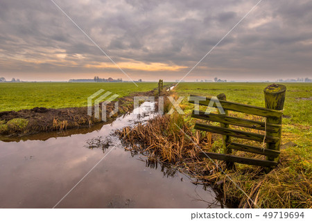 Polder landscape under cloudy sky 49719694