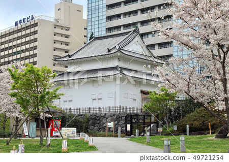 Acupuncture Castle (Shizuoka Prefecture) 49721254