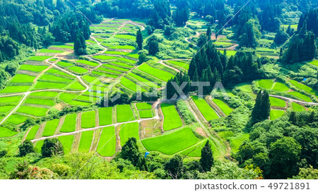 Terraced rice fields in Gyeongchi (July) Terraced rice fields in Gyeongchi (July) 49721891