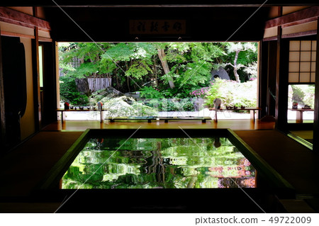 Shofuku-ji顛倒的新鮮綠色 49722009