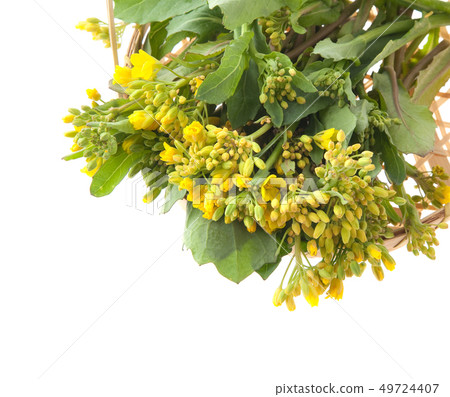 我如果這樣 49724407