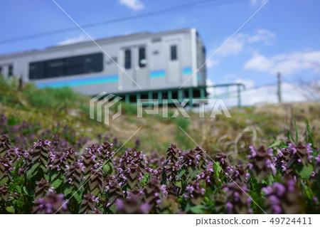 蓬鬆的Oito線:普通列車和Himeodorikoso Azumino市 蓬鬆的Oito線:普通列車和Himeodorikoso Azumino市 49724411