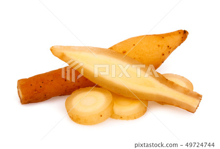fingerroot isolated on white background 49724744