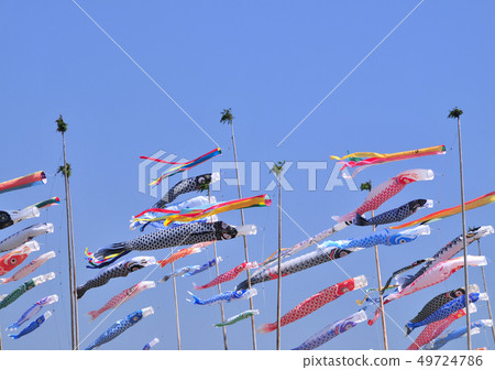 Carp streamer-19268 Carp streamer-19268 49724786
