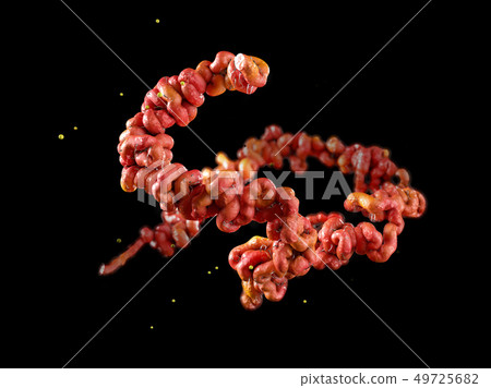 Lyme disease bacteria isolated black 3D illustration 49725682