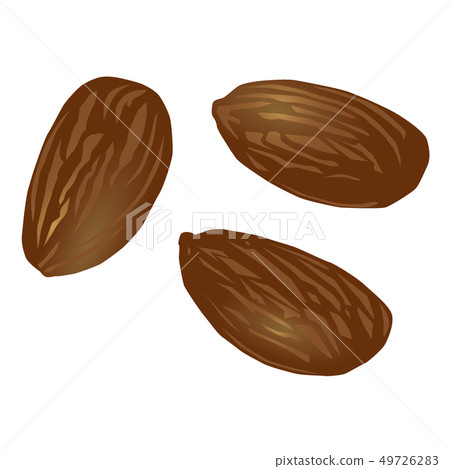 3 almonds 3 almonds 49726283