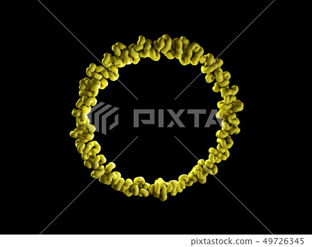 Lyme disease bacteria isolated black 3D Lyme disease bacteria isolated black 3D 49726345