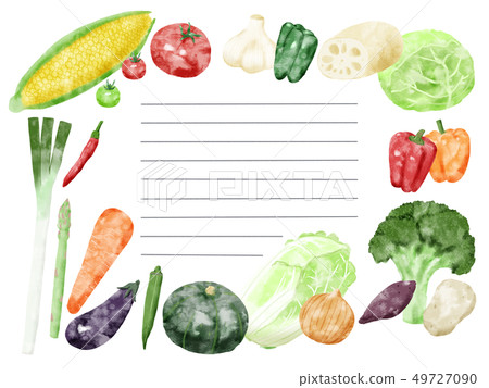 Vegetable frame ruled line material 49727090
