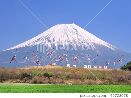 Carp streamer and Mt. Fuji-9195 Carp streamer and Mt. Fuji-9195 49728078