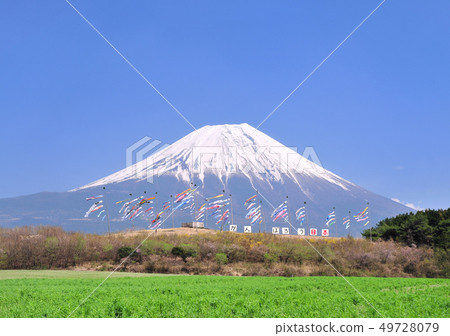Carp streamer and Mt. Fuji-9196 Carp streamer and Mt. Fuji-9196 49728079
