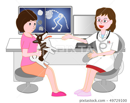 從動物醫院的醫生那裡尋找寵物的狗或貓。 49729100