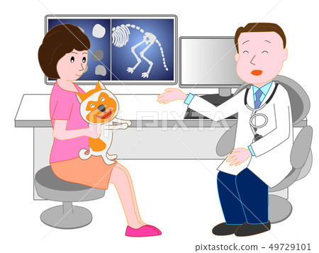 從動物醫院的醫生那裡尋找寵物的狗或貓。 49729101